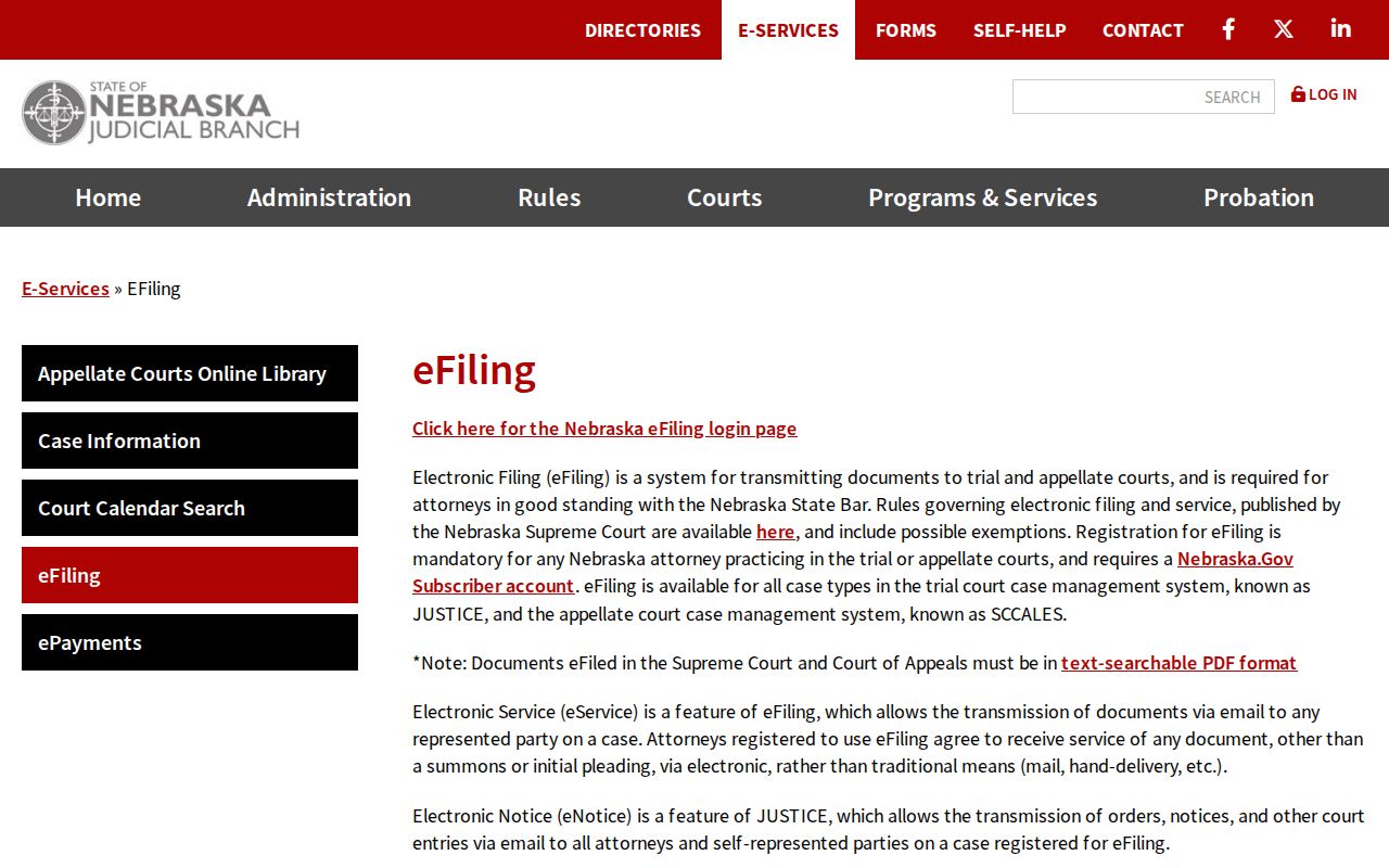 Boone County docket search source showing Nebraska Judicial Branch eFiling service