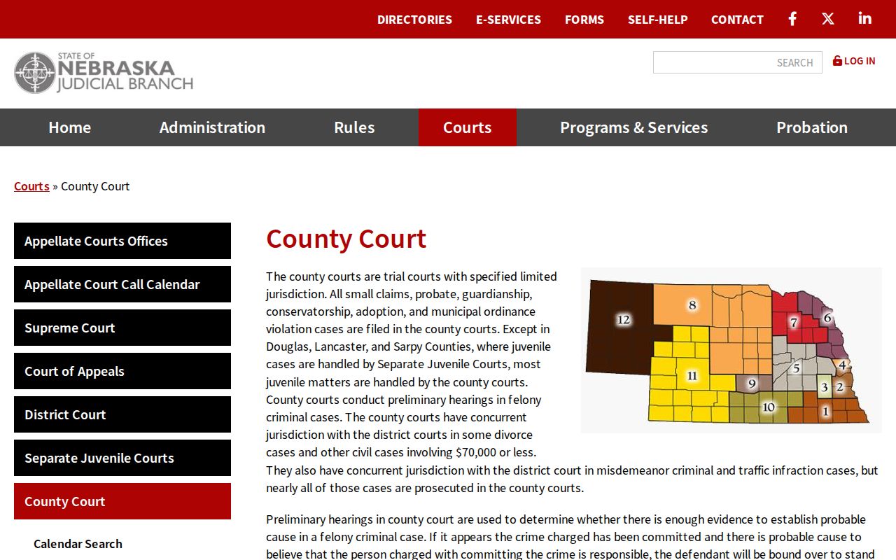 Petersburg court records source showing Nebraska County Court information